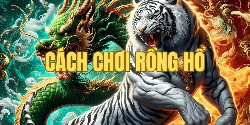 Cách chơi rồng hổ