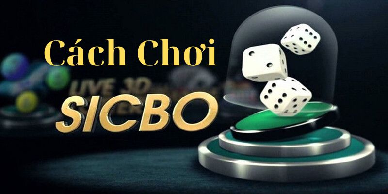 Cách chơi sicbo