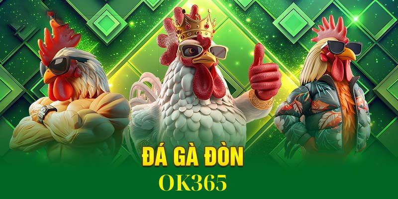 Đá gà đòn ok365